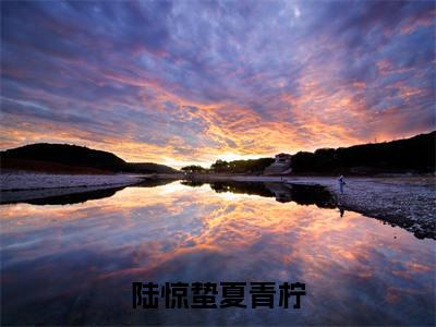 陆惊蛰夏青柠小说全文免费阅读（陆惊蛰夏青柠）全文免费阅读无弹窗大结局