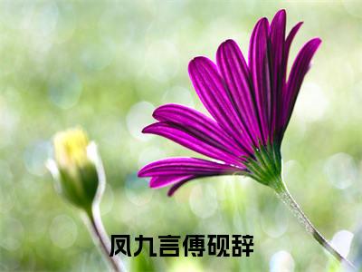 【新书】《傅砚辞凤九言》全文免费阅读无弹窗大结局-凤九言傅砚辞全文全章节免费阅读