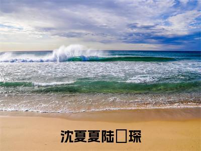 沈夏夏陆璟琛的小说免费阅读（沈夏夏陆璟琛小说免费阅读）全文免费阅读大结局-沈夏夏陆璟琛热门榜单好书推荐