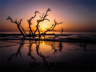 陆代辞柳星慧（柳星慧陆代辞）小说全文免费阅读无弹窗_（柳星慧陆代辞全文阅读）陆代辞柳星慧免费阅读大结局