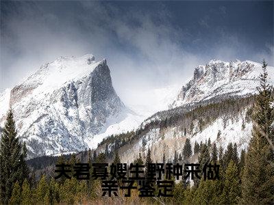 夫君寡嫂生野种来做亲子鉴定（沈锦书）全文免费阅读无弹窗大结局_（夫君寡嫂生野种来做亲子鉴定）沈锦书免费阅读无弹窗最新章节列表