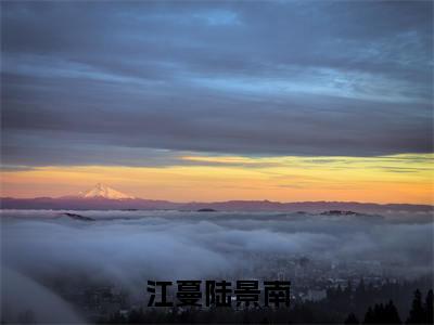 陆景南江蔓（陆景南江蔓）全文免费阅读无弹窗_江蔓陆景南小说免费阅读_笔趣阁