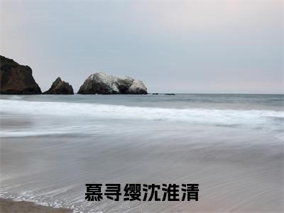 慕寻缨沈淮清小说全文免费阅读_慕寻缨沈淮清（慕寻缨沈淮清）最新章节列表笔趣阁