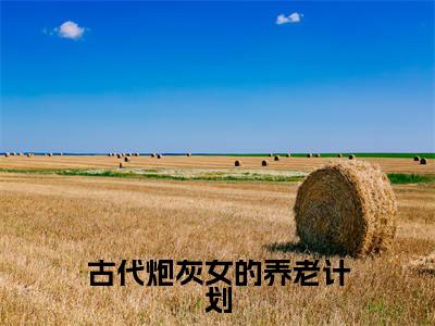 古代炮灰女的养老计划全文免费在线阅读大结局_（苏荷免费阅读无弹窗）古代炮灰女的养老计划全文免费完结版阅读（苏荷）
