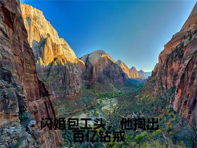 林妍顾云深（林妍顾云深）全文免费阅读无弹窗大结局_闪婚包工头，他掏出百亿钻戒小说最新章节列表_笔趣阁