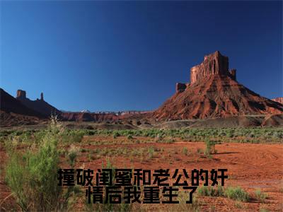 撞破闺蜜和老公的奸情后我重生了（秦晓）小说全文免费阅读-撞破闺蜜和老公的奸情后我重生了（秦晓）小说免费版最新更新阅读