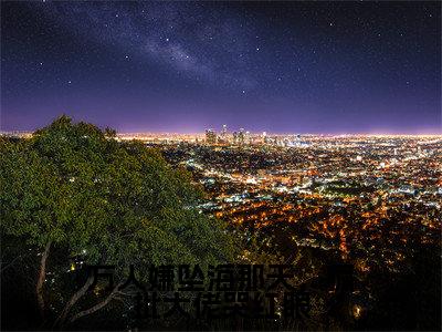 万人嫌坠海那天，疯批大佬哭红眼（稚宁）全文免费阅读无弹窗大结局_万人嫌坠海那天，疯批大佬哭红眼全文免费完结版阅读（稚宁）