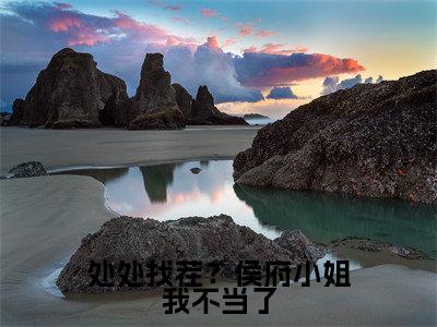 沐芸烟免费小说，处处找茬？侯府小姐我不当了全文免费阅读无弹窗大结局