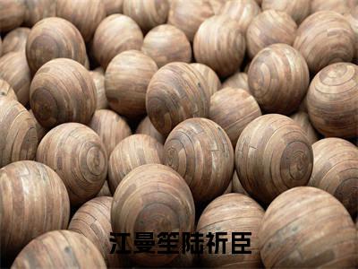 江曼笙陆祈臣（陆祈臣江曼笙）全文免费阅读无弹窗大结局_（江曼笙陆祈臣免费阅读）陆祈臣江曼笙无弹窗最新章节列表