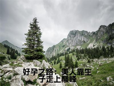 好孕之路：美人靠生子走上巅峰（崔嘉宜全文在线阅读）-好孕之路：美人靠生子走上巅峰（崔嘉宜）免费阅读无删减大结局