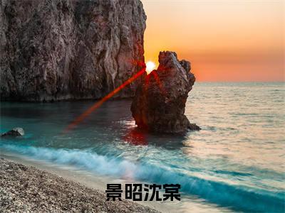 （热推新书）《景昭沈棠》全文免费阅读最新章节大结局-景昭沈棠无弹窗阅读