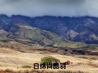 白绵肖皓羽全文免费阅读大结局_白绵肖皓羽已完结全集白绵肖皓羽大结局小说