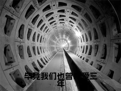 司寒楠苏佳晴的小说主角（毕竟我们也曾相爱三年）免费阅读_毕竟我们也曾相爱三年热搜小说完结版阅读