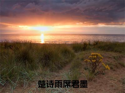楚诗雨席君墨（楚诗雨席君墨）全文免费阅读无弹窗完整版，（楚诗雨席君墨）免费阅读全文最新章节列表_笔趣阁