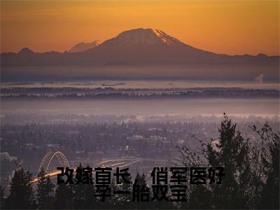 周薇陆彦（改嫁首长，俏军医好孕一胎双宝）全文免费读无弹窗大结局_周薇陆彦免费周薇陆彦读无弹窗最新章节列表_笔趣阁