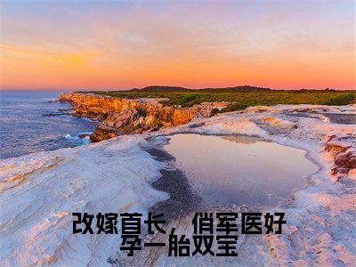 周薇陆彦（改嫁首长，俏军医好孕一胎双宝）完整全文在线阅读_改嫁首长，俏军医好孕一胎双宝小说全章节目录阅读（周薇陆彦）