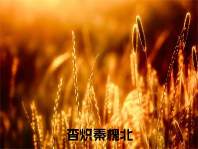 杳炽秦槐北全文免费在线阅读_（杳炽秦槐北免费阅读无弹窗）秦槐北杳炽全文免费完结版阅读（杳炽秦槐北）