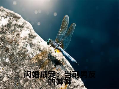 闪婚成宠：当前男友的婶婶（纪淮洲桑云窈）全文免费阅读无弹窗大结局_闪婚成宠：当前男友的婶婶最新章节列表_笔趣阁（纪淮洲桑云窈）