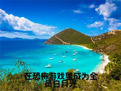 【新书】《在恐怖游戏里成为全员白月光》全文免费阅读无弹窗大结局-林灵全文全章节免费阅读