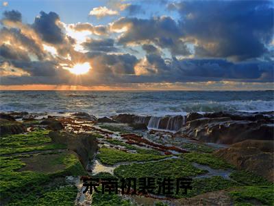 宋南初裴淮序免费阅读（裴淮序宋南初）完整版全文全章节阅读
