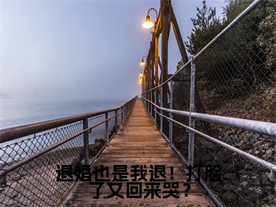 秦朝安是什么小说-（退婚也是我退！打脸了又回来哭？全文阅读）最新章节列表