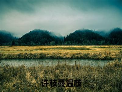 许枝蔓温桉（许枝蔓温桉）最新热门小说榜单推荐-许枝蔓温桉最新章节免费阅读
