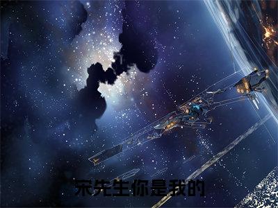 宋先生你是我的（宋听澜颜子满）免费小说-宋先生你是我的小说完整版阅读