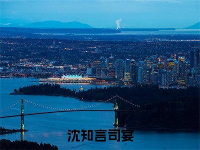 沈知言司宴（司宴沈知言小说）全文免费阅读无弹窗大结局_沈知言司宴（司宴沈知言）最新章节列表笔趣阁