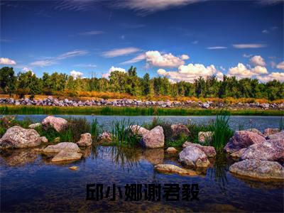 邱小娜谢君毅（谢君毅邱小娜小说）全文免费阅读无弹窗大结局_谢君毅邱小娜完整版小说阅读