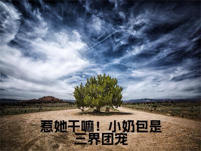 主角是金宝的小说（惹她干嘛！小奶包是三界团宠）-（惹她干嘛！小奶包是三界团宠）金宝全文免费阅读无弹窗大结局笔趣阁