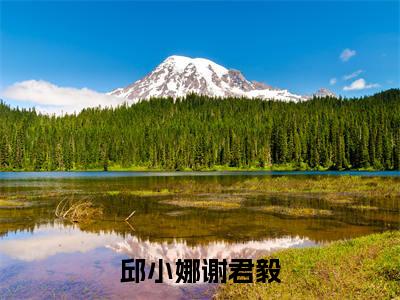 谢君毅邱小娜免费阅读（邱小娜谢君毅）全文免费阅读无弹窗大结局_谢君毅邱小娜免费阅读最新章节列表