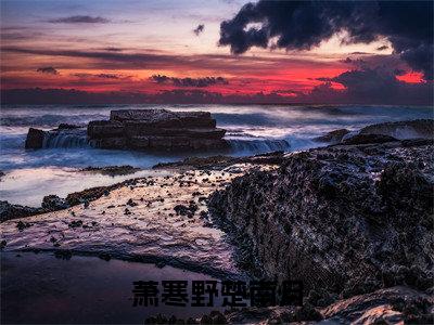萧寒野楚南月（萧寒野楚南月）全文免费阅读无弹窗大结局_（萧寒野楚南月）的小说（萧寒野楚南月）最新章节列表