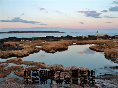 秦妄夏浅浅小说全文免费阅读无弹窗-校草别虐了，重生她不追你了秦妄夏浅浅全章节阅读