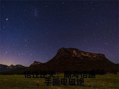 悟性逆天：高考悟道，手撕电磁炮全文免费阅读在线阅读苏勤全文免费阅读最新章节列表_笔趣阁