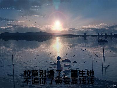 校草别虐了，重生她不追你了秦妄夏浅浅小说全文免费阅读无弹窗，（秦妄夏浅浅）小说全文免费阅读