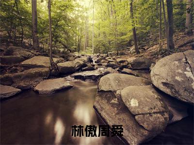 主角为周舜林傲的小说（林傲周舜）无弹窗大结局-最新小说林傲周舜全文阅读最新章节列表_笔趣阁