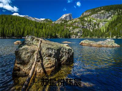 （陈宸苏星悦）全文免费阅读无弹窗大结局_（苏星悦陈宸全文免费）陈宸苏星悦小说最新章节列表_笔趣阁