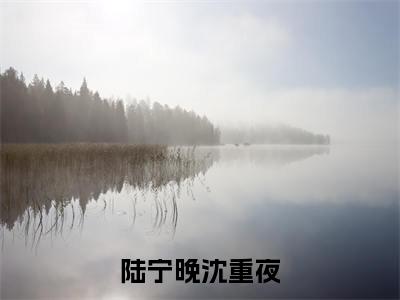 陆宁晚沈重夜小说全文免费阅读_（陆宁晚沈重夜）陆宁晚沈重夜最新章节列表笔趣阁