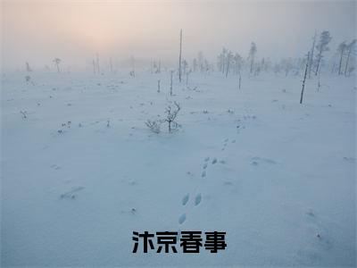 汴京春事在线阅读（余晚之沈砚）全文免费阅读无弹窗大结局_余晚之沈砚免费最新章节列表