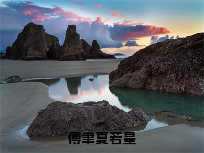 夏若星傅聿全文免费阅读大结局-傅聿夏若星最新章节列表-笔趣阁