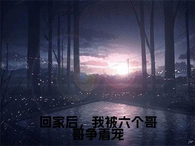 回家后，我被六个哥哥争着宠全文免费阅读_（陆景年免费阅读无弹窗）回家后，我被六个哥哥争着宠最新章节在线阅读笔趣阁