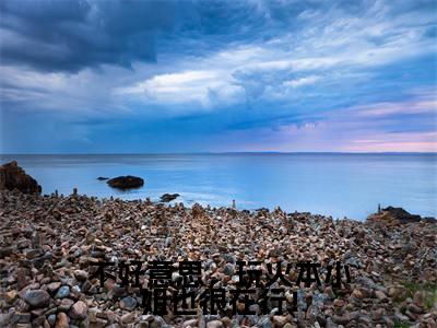 叶之宁墨尘胤小说全文免费阅读大结局-不好意思，玩火本小姐也很在行！最新章节列表免费阅读
