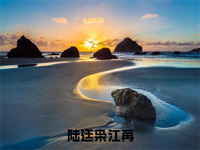 陆廷枭江苒（江苒陆廷枭）全文免费阅读无弹窗大结局_陆廷枭江苒小说免费最新章节列表_笔趣阁