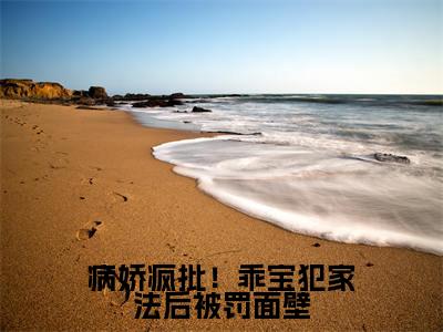 病娇疯批！乖宝犯家法后被罚面壁全文免费阅读大结局-（姜幼商赫臣）最新章节列表在线阅读