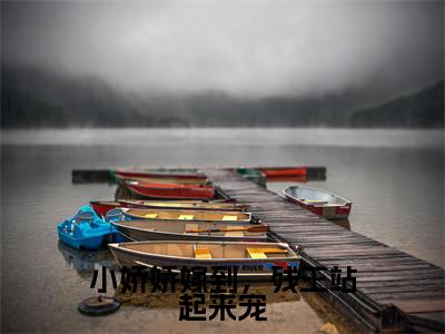 帝懿云惊凰小说免费阅读-小娇娇嫁到，残王站起来宠完整版全文大结局