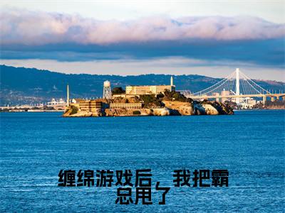 梁数林旭是什么小说-（缠绵游戏后，我把霸总甩了全文阅读）最新章节列表