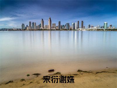 宋衍谢姝（宋衍谢姝）小说最新章节在线阅读-宋衍谢姝（宋衍谢姝）已完结全集大结局