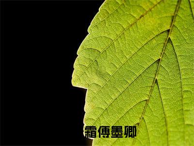 小说《沈倚霜傅墨卿》全文免费阅读无弹窗-沈倚霜傅墨卿小说全文在线赏析