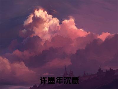 （沈薏许墨年）是什么小说-许墨年沈薏（沈薏许墨年）免费阅读大结局最新章节列表_笔趣阁