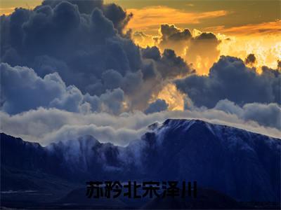 苏矜北宋泽川最后结局如何，苏矜北宋泽川强推全文阅读无弹窗